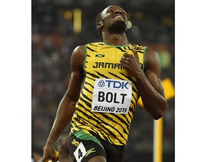 Bolt 2